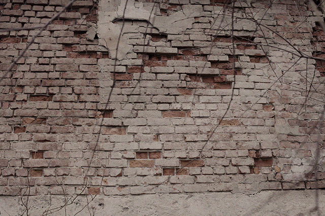 Old flowers, a wall and reflections